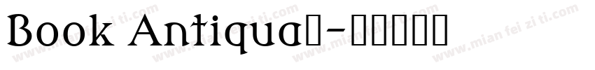 Book Antiqua字字体转换